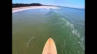 Mini Water NSW / 30 Aug 2025  