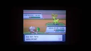 Cerfrousse shiny obtenu en 800 rencontres environ