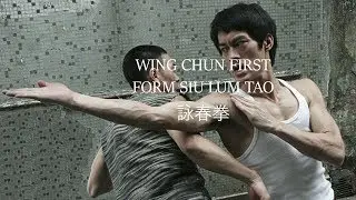 SIU LUM TAO 小念頭 VỊNH XU&Acirc;N QUYỀN TIỂU NIỆM ĐẦU