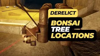 All Bonsai Tree Locations in Roblox Derelict