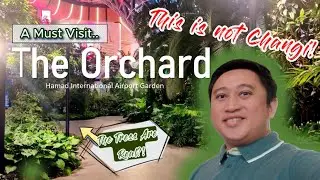 The Orchard (Indoor Tropical Garden) Hamad International Airport | How To Get There | Don't Miss It!
