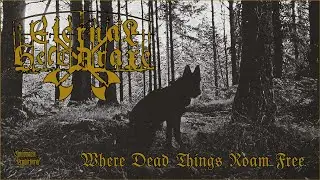 Eternal Helcaraxe - Where Dead Things Roam Free [Irish Black Metal]