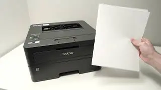 Как загрузить бумагу в лазерный принтер Brother HL-L2460DW