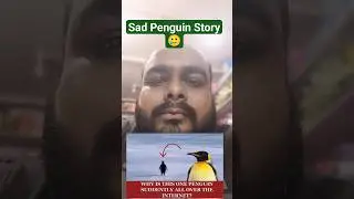 Sad Penguin Story🥲#viralshorts