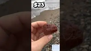 This Stone Is Breaking the Internet 🪨🔥 #nature  #shorts#viral#trending#fyp#foryou#rocktok#stonetok