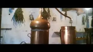 Salvia Sclarea distillation process