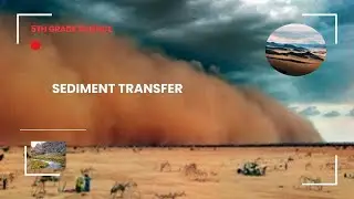 Sediment Transport: 5th Grade Science | TEKS 5.7(A) STAAR Test Prep