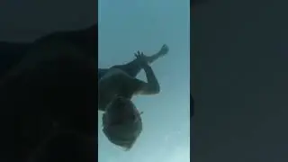JFBB Wettbewerb Dokumentarfilm