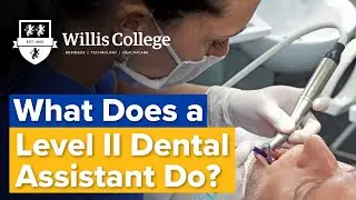 What Does a Level II Dental Assistant Do? | Willis College