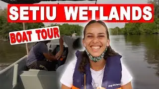 Setiu Wetlands State Park Terengganu
