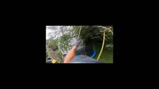 Extreme Arborist Tree Removal | High-Risk Cuts & Professional Tree Work (Part 9)