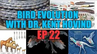 Dr. Kent Hovind's Science Class Ep 22 Bird Evolution