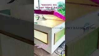 Brooding Box can be used for 30 to 50 chicken chicks. ..