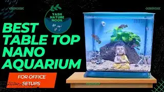 Best table top aquarium | nano planted aquarium | Easy setup | low maintenance aquarium setup|