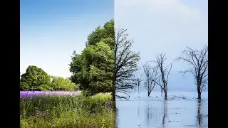 India&rsquo;s Climate Finance Taxonomy: PRI Calls for Science, Standards & Real Impact