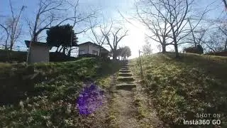 IInsta360 GO  冬枯れの船岡城址公園