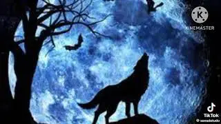 All Werewolf Sounds 🐺🔊