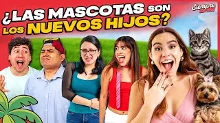 ¿PREFIERES TENER MASCOTAS QUE HIJOS? | CRITICAMOS LOOKS DE LOS GRAMMYS #siempretarde #zalo