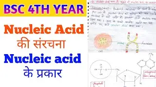Nucleic Acid ki Sanrachna | nucleic acid ke prakar| DNA aur RNA Structure in Hindi | Biology Zoology