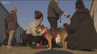 SD Humane Society President traveling to Poland to help pets