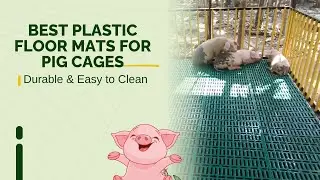 Best Plastic Floor Mats for Pig Cages 🐖 | Durable, Hygienic & Easy to Clean