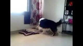 Mr. WhiteCollar making his bed