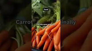 Food #CarrotFacts #foodhistory  #funfacts  #VegetableTrivia #food #carrots