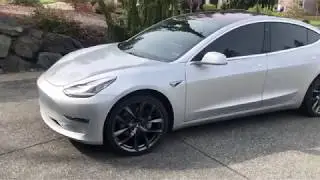 New 20
