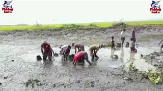 Best Fishing videos,Deep sea,hole egg fishing,mach,fishing,2020 fish,Trap,mud,Water,Muddy Soil P 120
