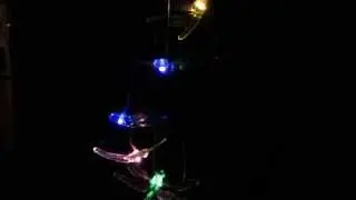 24 DRAGONFLY LED COLOR-CHANGING LIGHTS