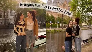 A Few Days in Dog Friendly Amsterdam, Netherlands - Spring Europe Vlog! | LESBIAN TRAVEL COUPLE