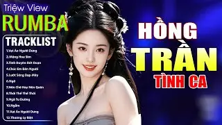 HỒNG TRẦN TÌNH CA , MỘNG HOA SIM - LK Nhạc Trẻ Hót TikTok 2026 - ALBUM RUMBA XUẤT SẮC NHẤT CỰC HÓT