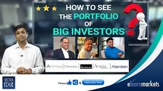 How to see the portfolio of BIG Investors?