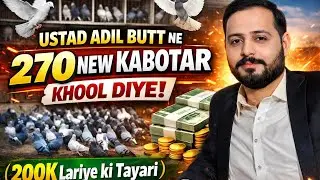 Ustad Adil Butt Ne 270 New Kabotar Choor  Diye   200 k Lariye Ki Tayari 😍@DelhipigeonLover ​