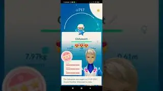 Shin Oshawott Community day😍😍😍 lucky shiny