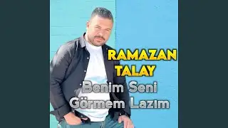 Benim Seni Görmem Lazım