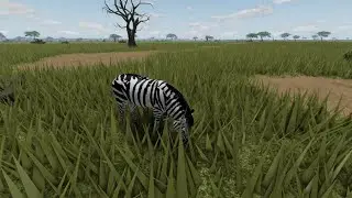 Vivendo de Zebra e fugindo dos perigos (Wild savannah)