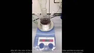 Au NPs synthesis | Bionanotools Lab