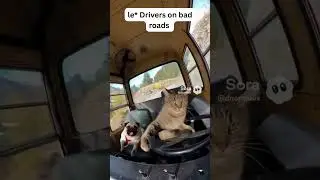 Drivers on bad roads 😁 #shorts
