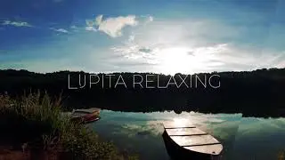 Sonido ultra Relajante de P&aacute;jaros Cantando: el Canto de las Aves, en un bello atardecer en el lago.