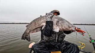Ветер от нуля до более 16 миль в час приводит в движение Magnum Bluecats!
