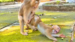 Really S.a.d ! Little baby SARO c.r.i.e.s out so hurt - when Mom a.n.g.r.y and w.a.r.ns for him p!ty