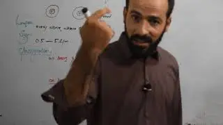 01. What is Bacteria | Structure of bacteria | types of Bacteria | Classification of Bacteria