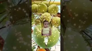 coconut #cocomelon #baby sami