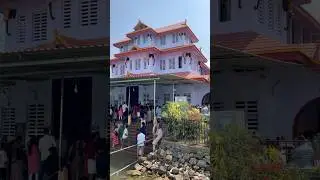 Parassinikadavu Sree Muthappan🙏✨ #shorts #god #kannur #kerala #muthappantemple #templesofkerala
