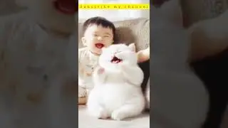 🐤🐣🦊🦁baby and cat laughing shoking end mat miss karna 🐤🐣🦊🦁||🍭🍬🍫 cat and baby fun || baby shorts