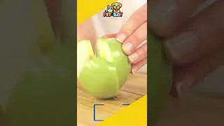 Can Dogs Eat Apples? Learn the Health Benefits & Safe Serving Tips!