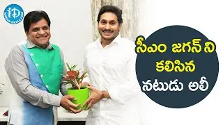 సీఎం జగన్ ని కలిసిన నటుడు అలీ | Actor Ali Meets Jagan | iDream News