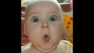 Смешные фотографии! Funny photos!! Very funny !!!