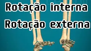 O que &eacute; rota&ccedil;&atilde;o externa e interna